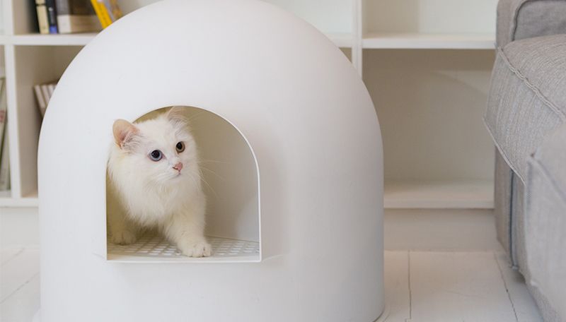 Award-winning Igloo cat litter box by Pidan studio 