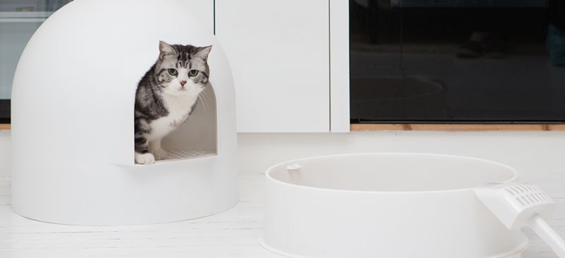 Award-winning Igloo cat litter box by Pidan studio 