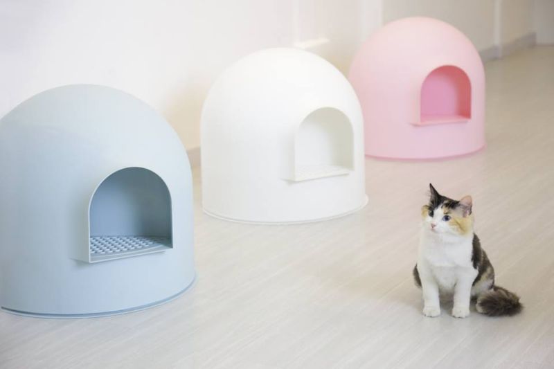 Pidan studio snow house igloo cat litter box best sale