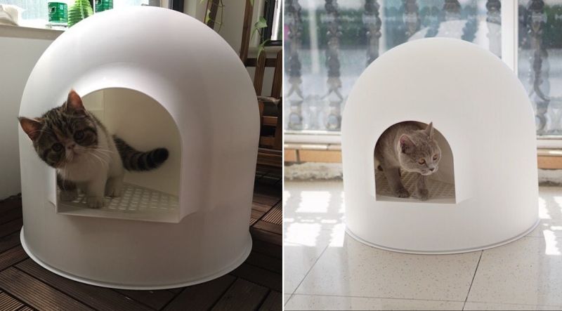 Award-winning Igloo cat litter box by Pidan studio 