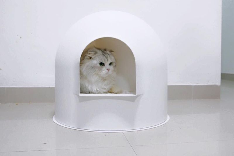 Award-winning Igloo cat litter box by Pidan studio 