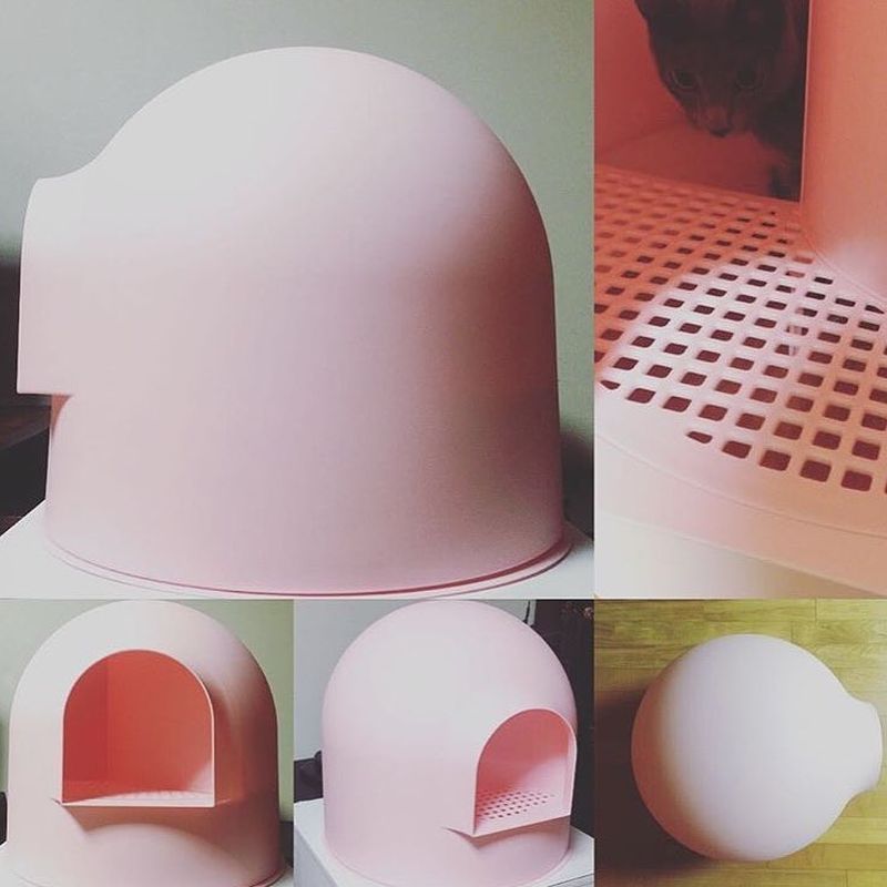 Award Winning Igloo Cat Litter Box by Pidan Studio