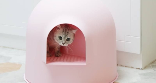 muzzle instead of cone