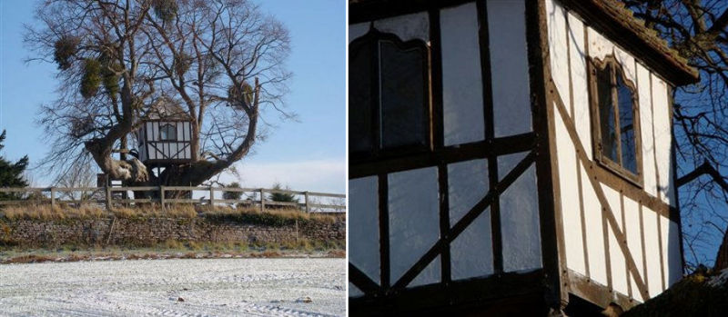 World’s oldest treehouse in Pitchford dates back to Princess Victoria 