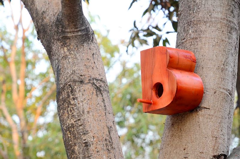 Alphabetic birdhouse by Artist Nishant Jethi