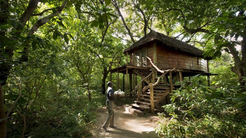 Treehouse Suite at &BEYOND Lake Manyara Tree Lodge in Tanzania