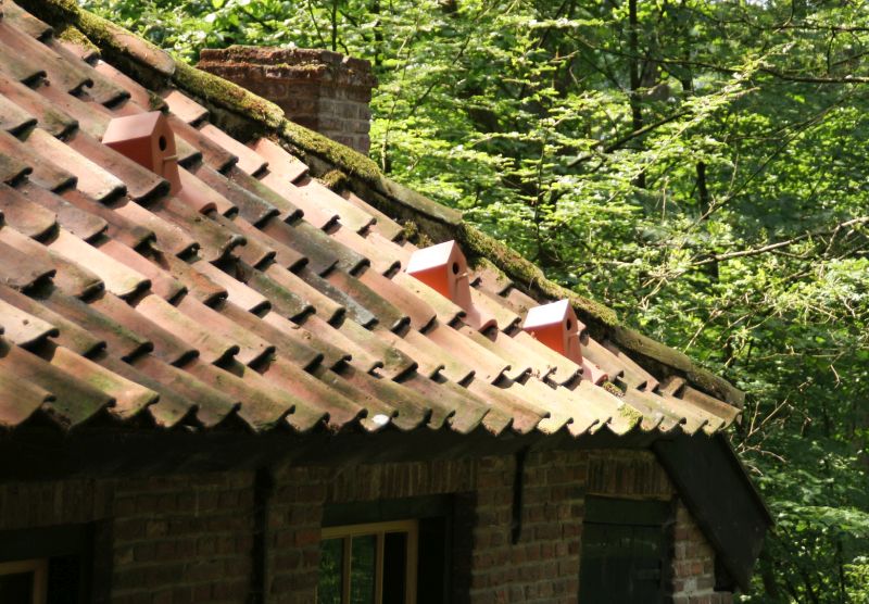 Birdhouse Roof Tiles