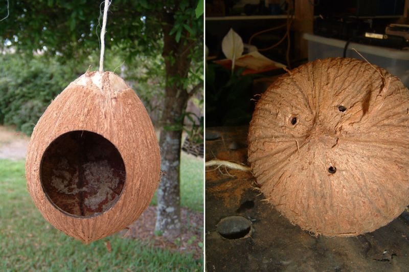 Coconut birdhouse