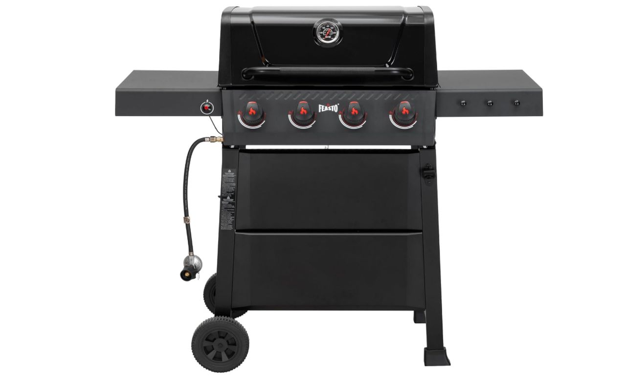 Feasto 4-Burner Propane Gas Grill with Side Burner