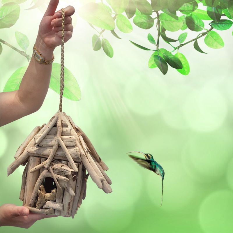 best Birdhouse designs