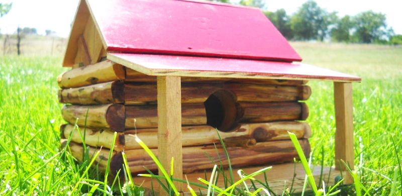 Log Cabin Bird House by machoturtle