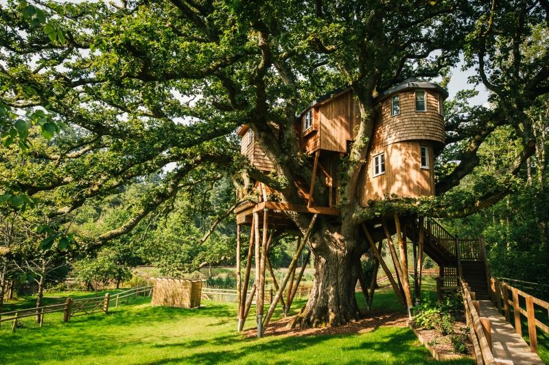 Treetops Treehouse Hotel in Devon, UK