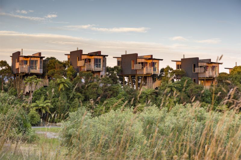 Piwakawaka Treehouse at Hapaku Lodge in Kaikoura, New Zealand