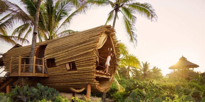 Playa Viva, Oceanfront treehouse – Mexico