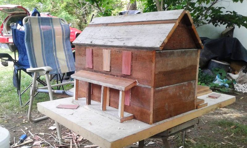 Roy's pine wood bird shed