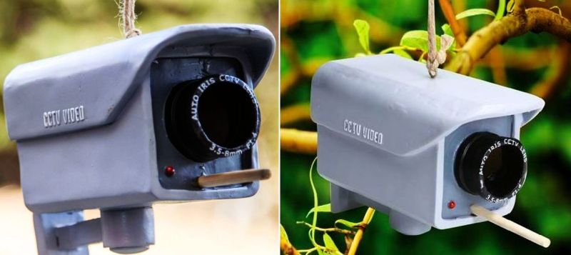 Security Camera Birdhouse 1