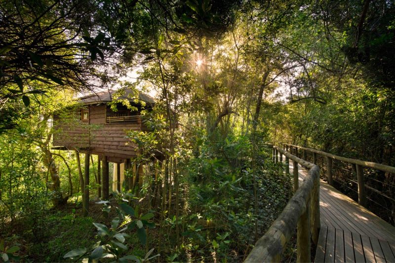 Treehouse Hotel Room at Tsala Treetop Lodge in Plettenberg Bay, South Africa