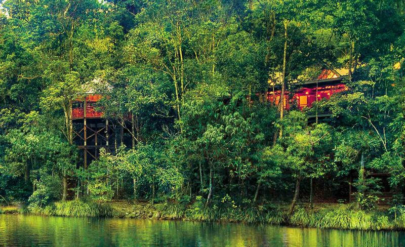 Silky Oaks Lodge River Treehouse- Australia