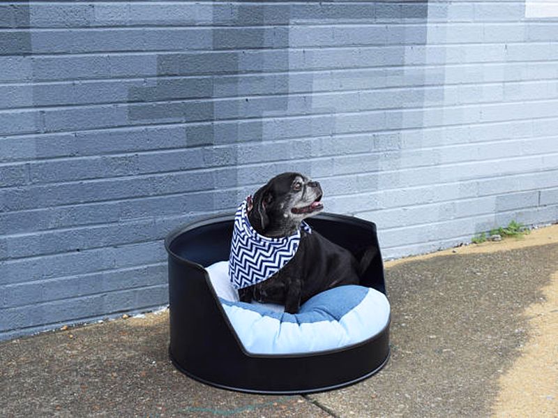 Black colored oil drum dog bed