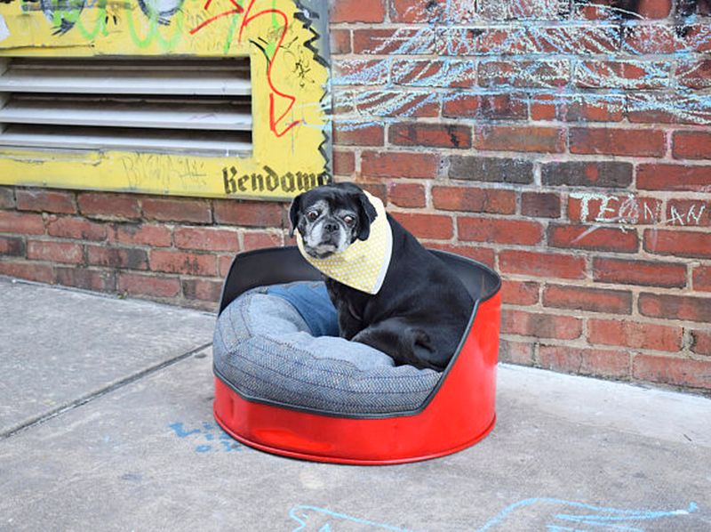 Dog bed recycled from a 50 gallon oil drum 