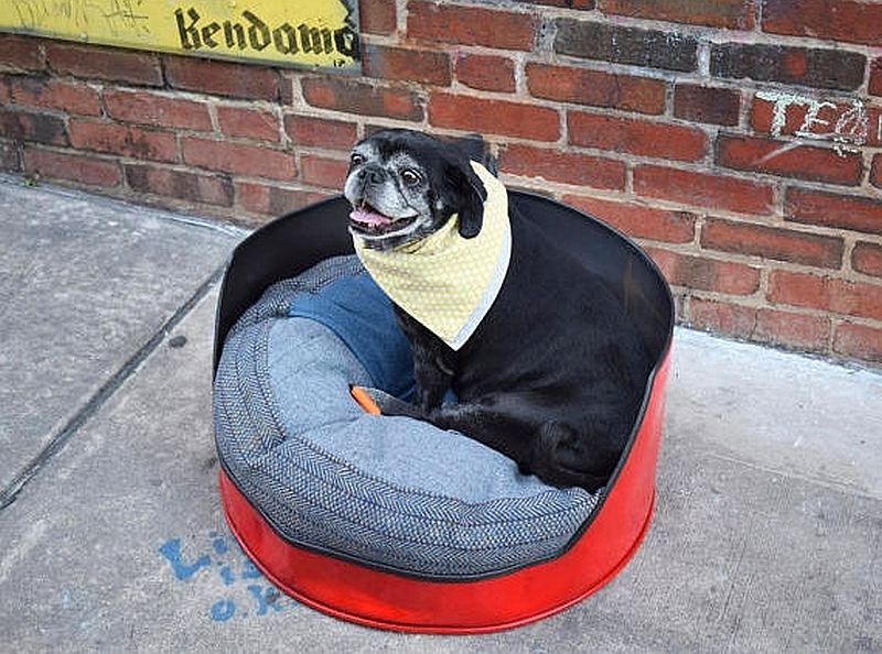 Clever Raven repurposes metal oil drum into a dog bed