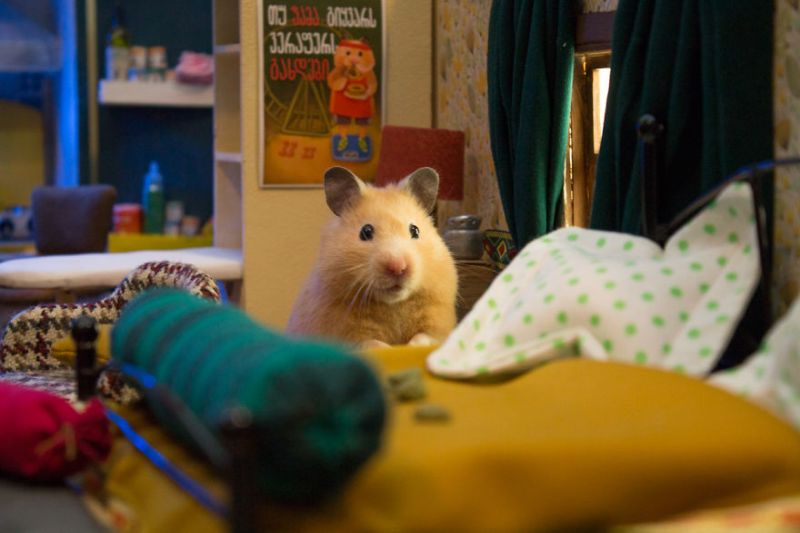 Leading boy character’s bedroom with constantly messy bed