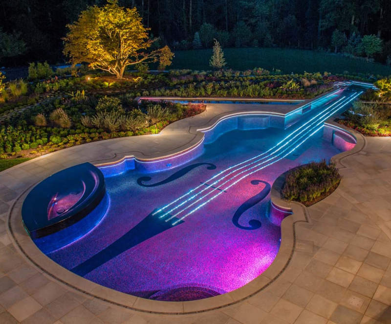 Stradivarius Violin-shaped Backyard Swimming Pool