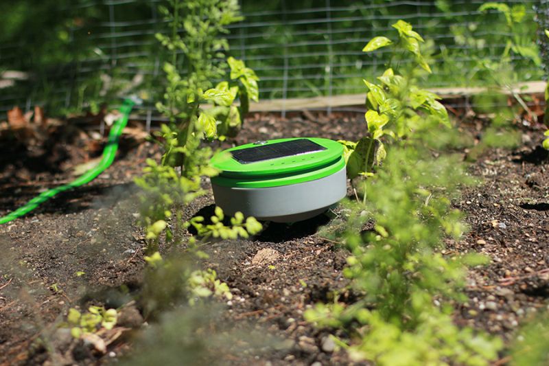 Tertill Solar-powered Weeding Robot