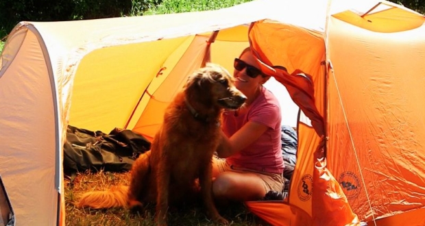 using fleece for guinea pigs