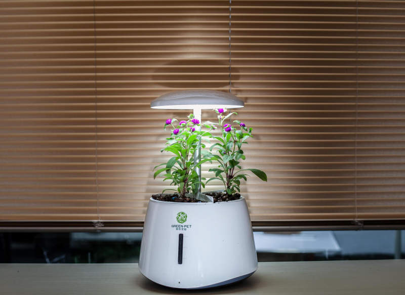 Zhejiang Nashou’s smart garden purifies indoor air 