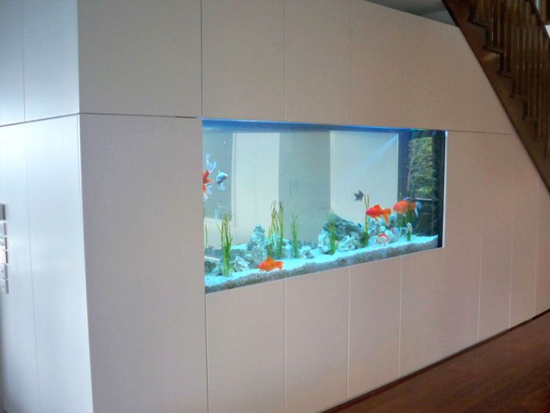 beautiful fish aquarium under stairs