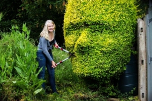 cutting-hedge art by michelle foley