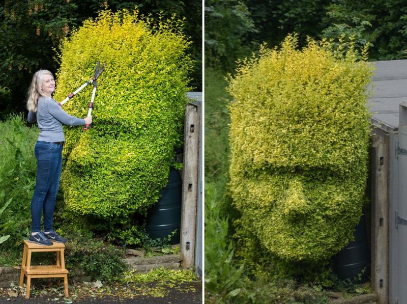 cutting-hedge art by michelle foley