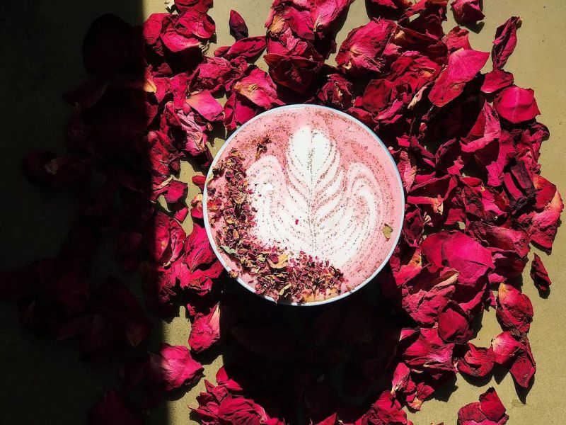 red rose lattes