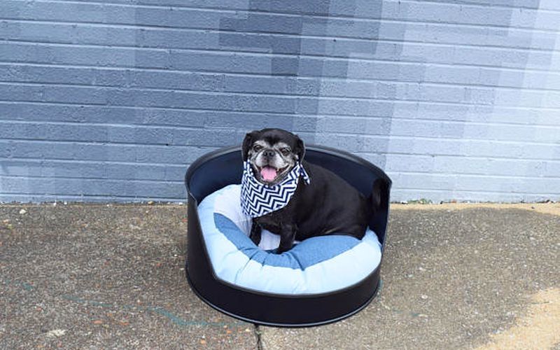 dog bed is made out of a 55-gallon old barrel by Clever Raven