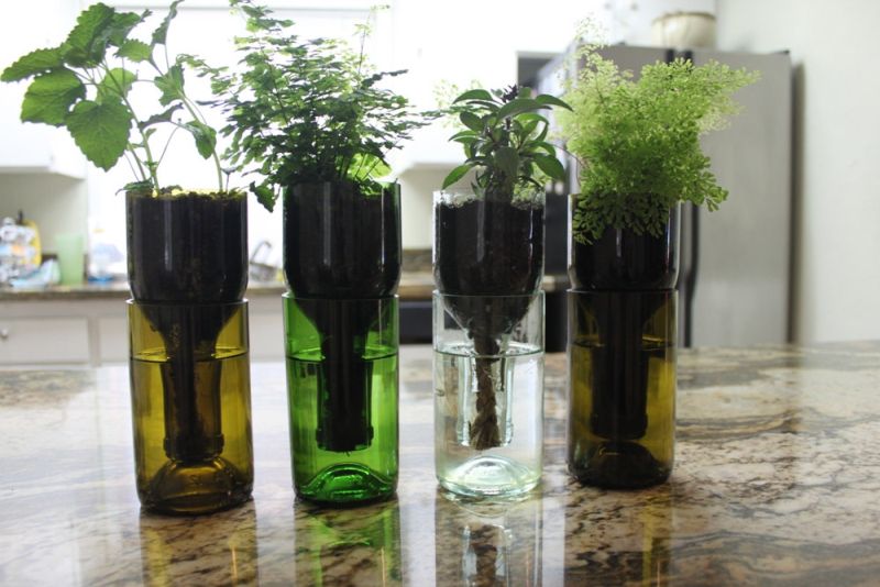 Self-watering planter made of wine bottle