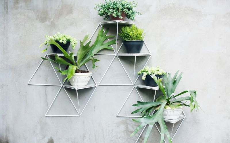 3D wall plant mount