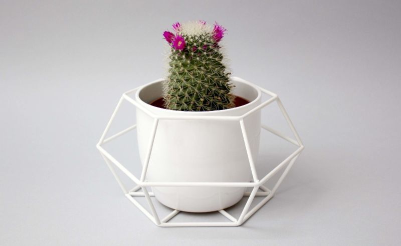 Geometric planter