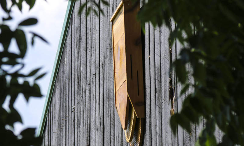 BatBnB is wooden birdhouse specifically designed for bats 