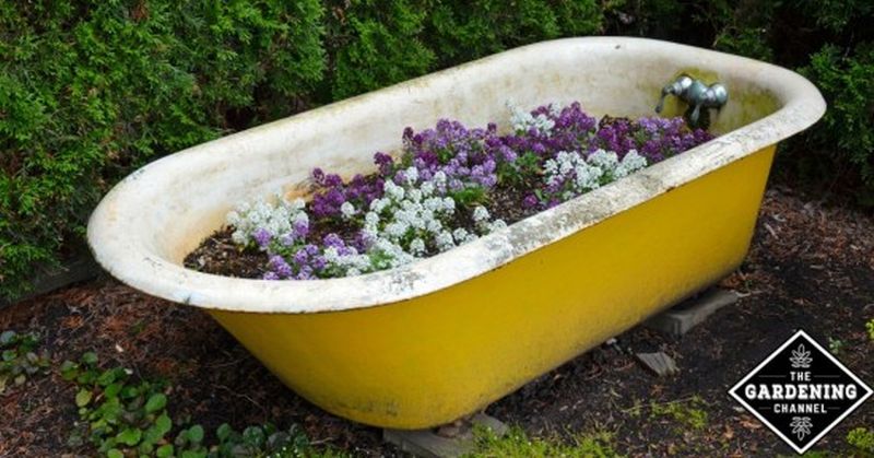 Old Bathtub into yellow garden planter 