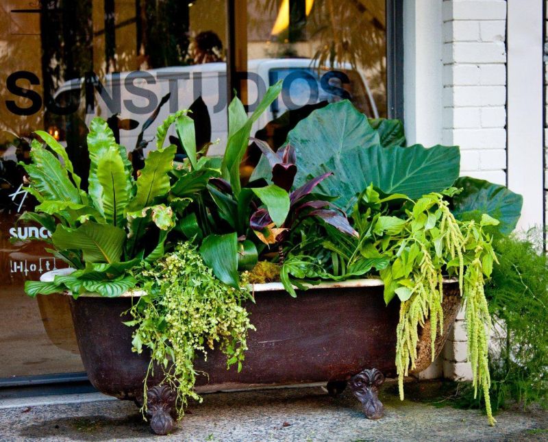 Old Bathtub into brown garden planter 