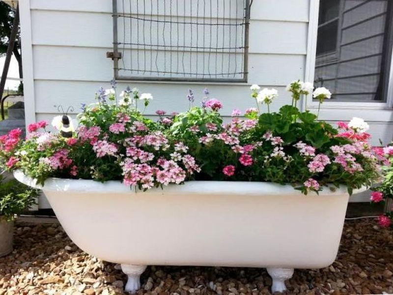 Old Bathtub into white garden planter 