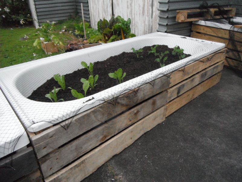 turn Old Bathtub into garden  