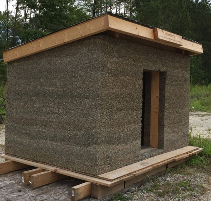 CFCC student builds sustainable doghouse from versatile hempcrete