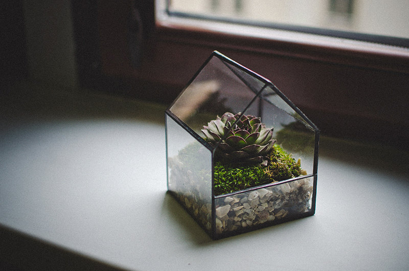 Glass Terrarium Planter