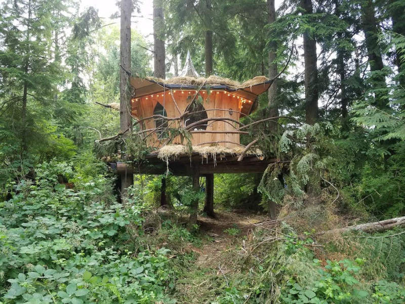 Mountain Views B&B Retreat in Monroe offers pot-friendly treehouses