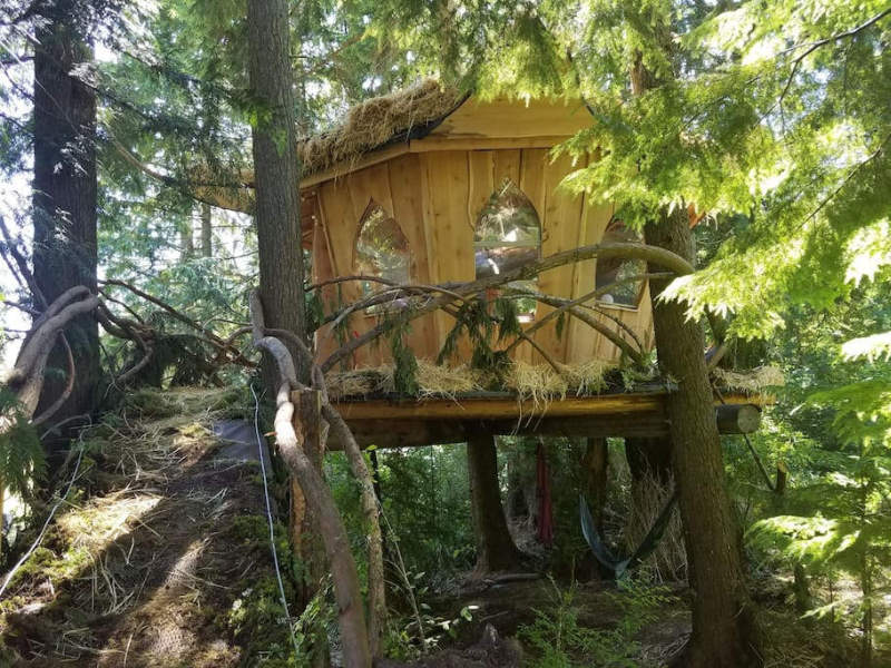 cozy cabin in the trees that sleeps 4