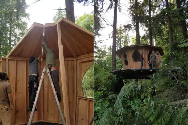 Mountain Views B&B Retreat in Monroe offers pot-friendly treehouses