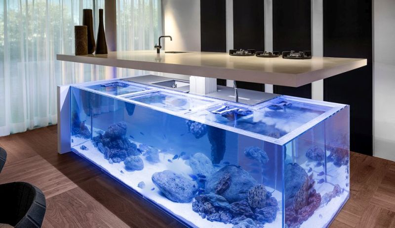 27 Unique Aquarium Designs to Freshen Up Your Home Interior