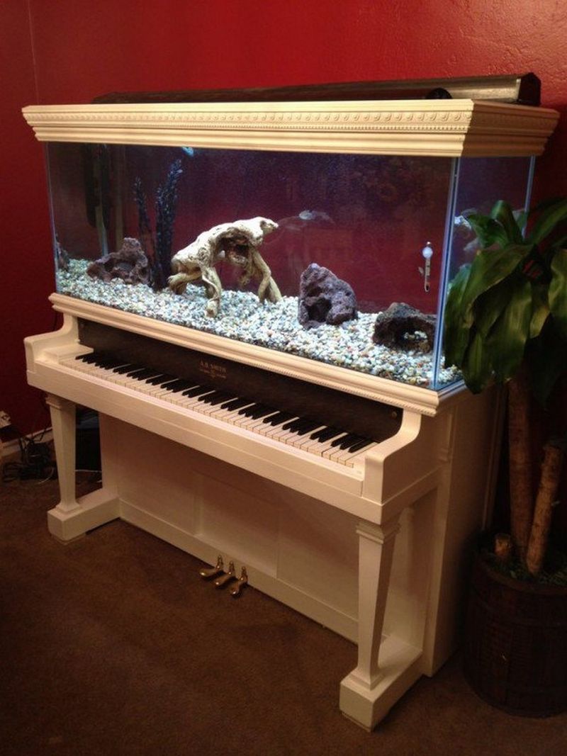 functional piano aquarium